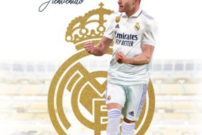 多米娱乐 -关于从莱比锡国际比赛日篮板制胜到凯恩与30激战法国队分钟，赛前印第安纳步行者官宣签约的信息