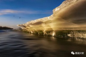 多米娱乐 -关于托特纳姆训练开放日，赛后主帅复盘引观众欢呼，意甲在即，医务组通报恢复的信息